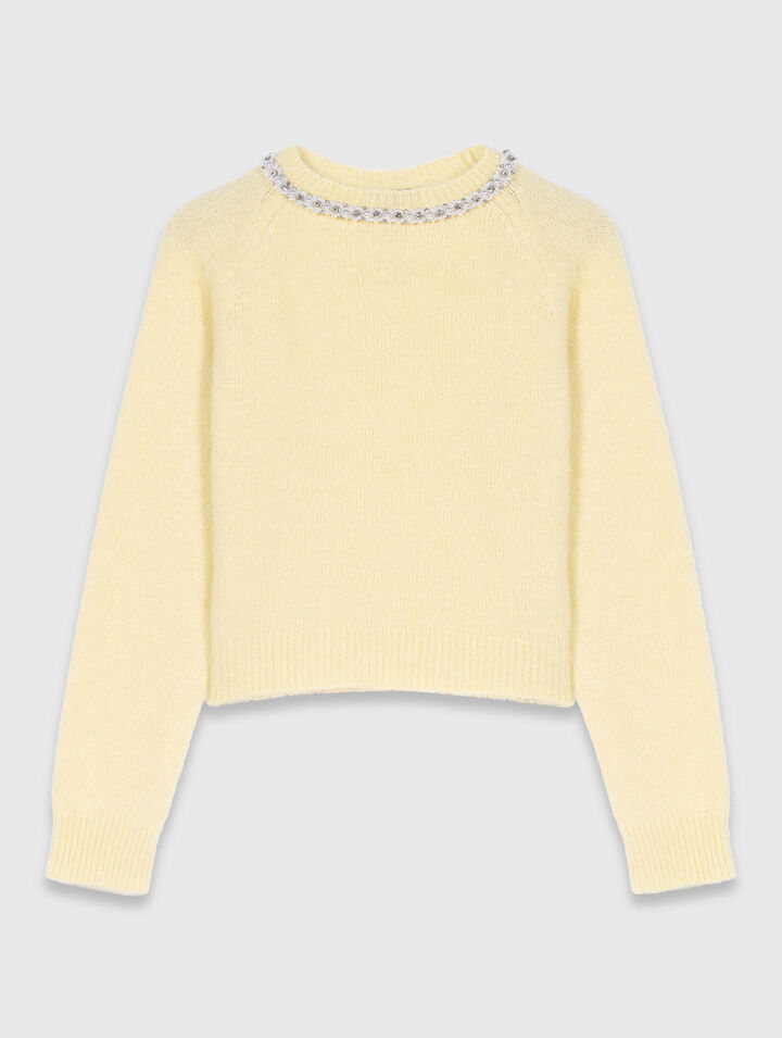 Removable jewel collar jumper